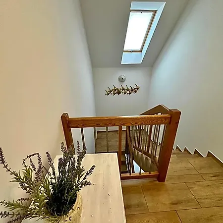 Bed & Breakfast Rodart Morski Sztutowo