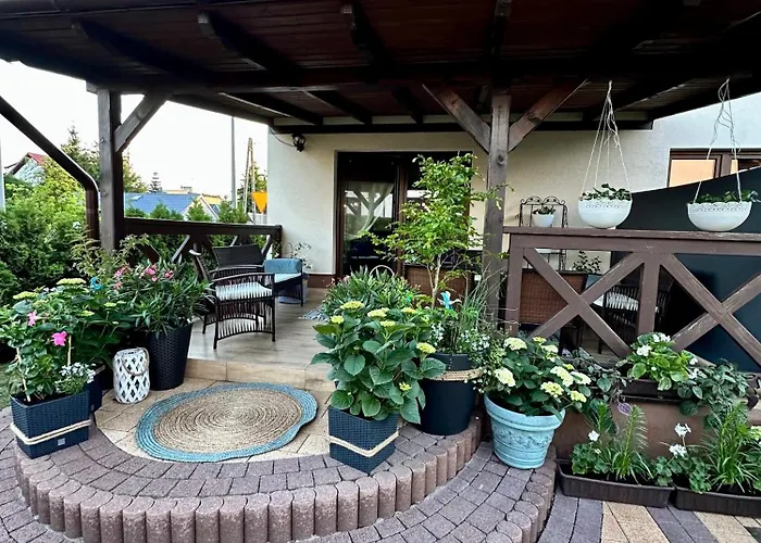 Rodart Morski Sztutowo