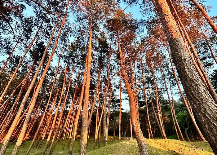 Rodart Morski 4* Sztutowo